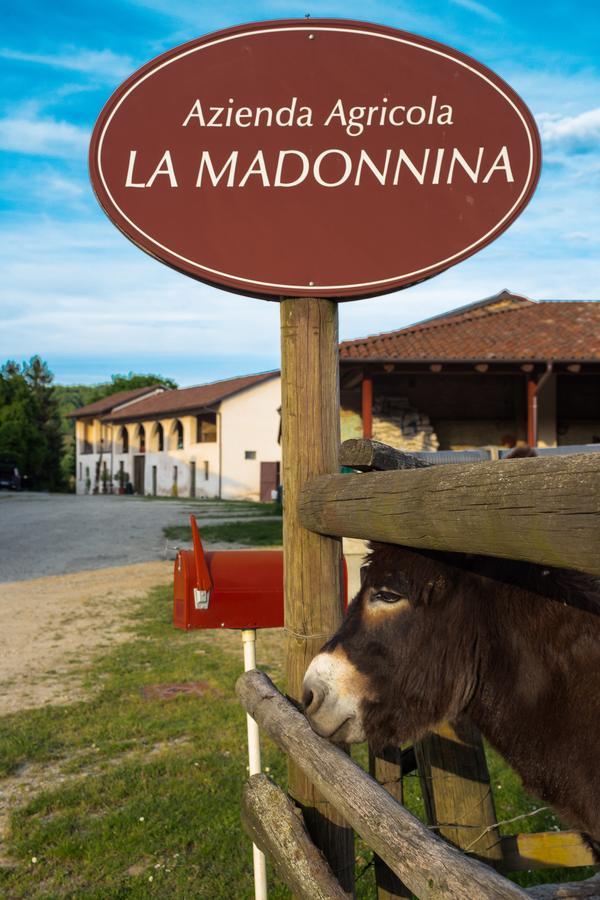 La Madonnina Agriturismo Dore 알바 외부 사진